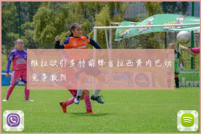 维拉欲引多特前锋吉拉西费内巴切竞争激烈