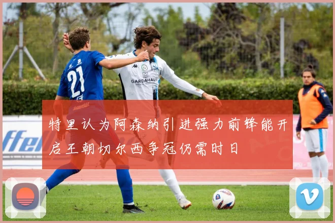 特里认为阿森纳引进强力前锋能开启王朝切尔西争冠仍需时日