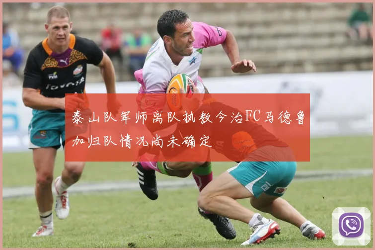 泰山队军师离队执教今治FC马德鲁加归队情况尚未确定